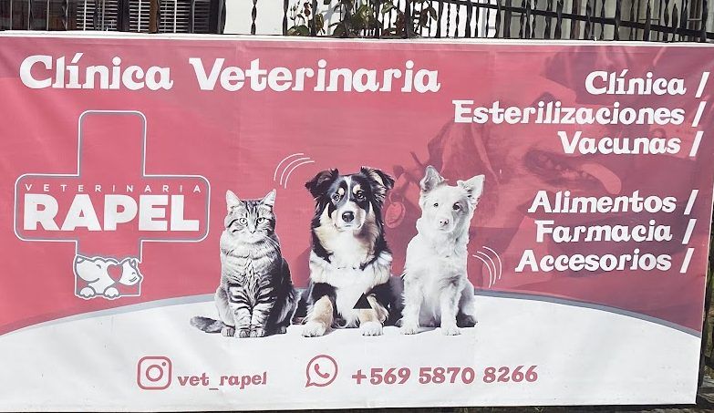 Lienzo rosa frente a la clínica: Clínica, esterilizaciones, vacunas, alimentos, farmacia y accesorios, con Instagram vet_rapel y WhatsApp +56 9 5870 8266.
