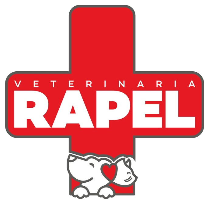 Veterinaria Rapel